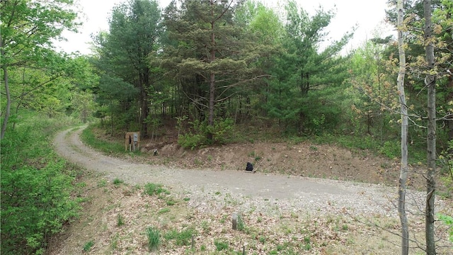 0 County Road 12, Naples, NY 14512 - photo 1
