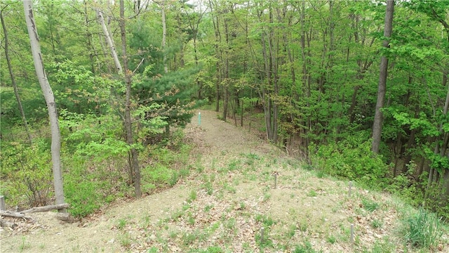 0 County Road 12, Naples, NY 14512 - photo 6