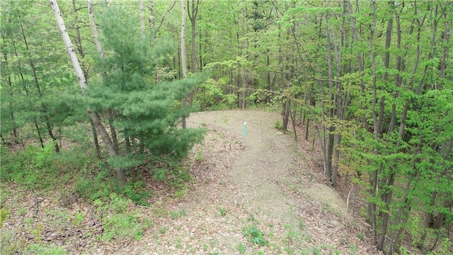 0 County Road 12, Naples, NY 14512 - photo 7