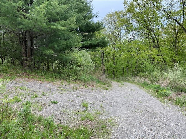 0 County Road 12, Naples, NY 14512 - photo 8