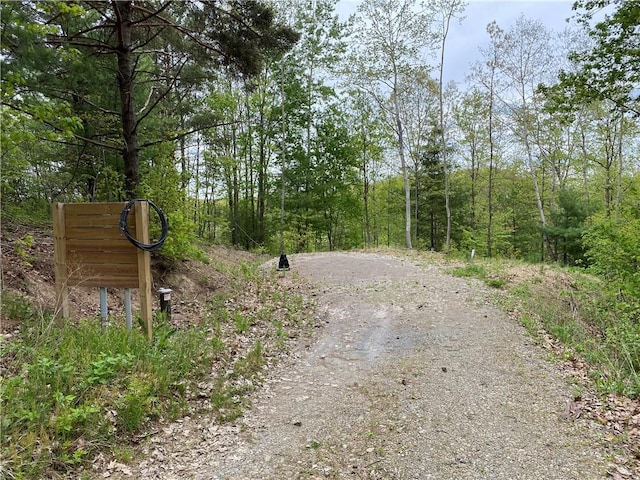 0 County Road 12, Naples, NY 14512 - photo 9