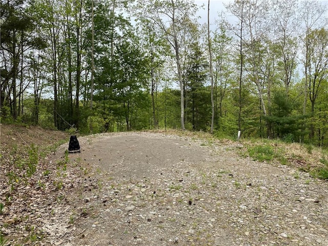 0 County Road 12, Naples, NY 14512 - photo 10