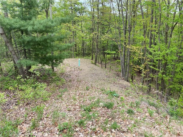 0 County Road 12, Naples, NY 14512 - photo 13