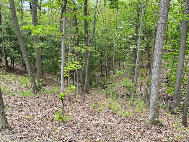 0 County Road 12, Naples, NY 14512 - photo 14