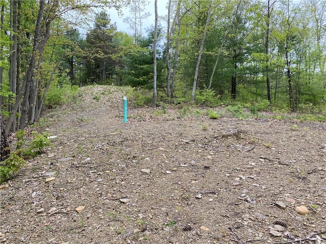 0 County Road 12, Naples, NY 14512 - photo 15