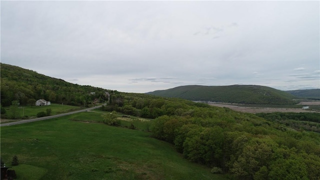 0 County Road 12, Naples, NY 14512 - photo 16