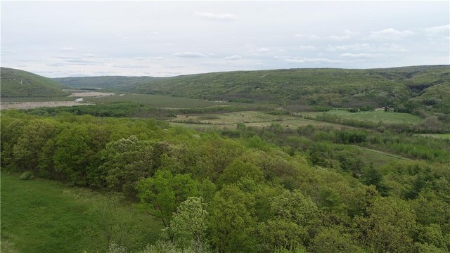0 County Road 12, Naples, NY 14512 - photo 17