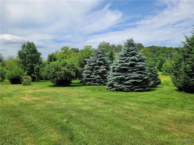 6291 State Route 167, Manheim, NY 13329 - photo 7
