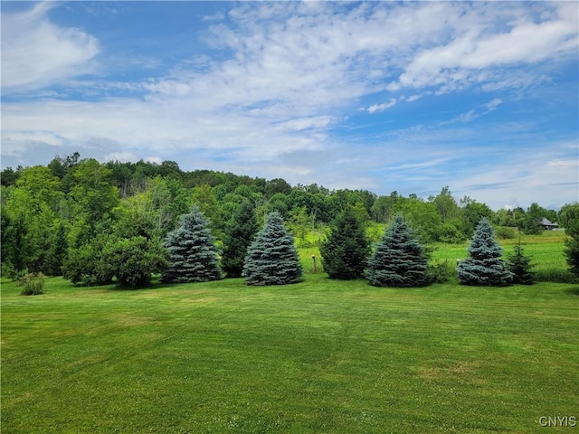 6291 State Route 167, Manheim, NY 13329 - photo 8