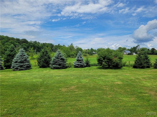 6291 State Route 167, Manheim, NY 13329 - photo 9