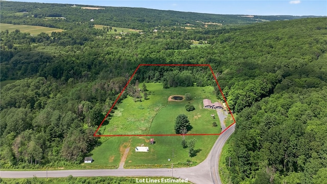 5115 Decamp Rd, Tyrone, NY 14837 - photo 37