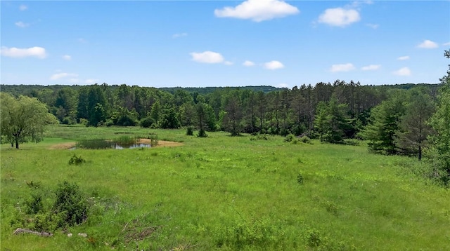 5115 Decamp Rd, Tyrone, NY 14837 - photo 5
