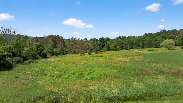 5115 Decamp Rd, Tyrone, NY 14837 - photo 8