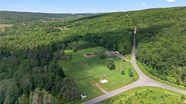 5115 Decamp Rd, Tyrone, NY 14837 - photo 11