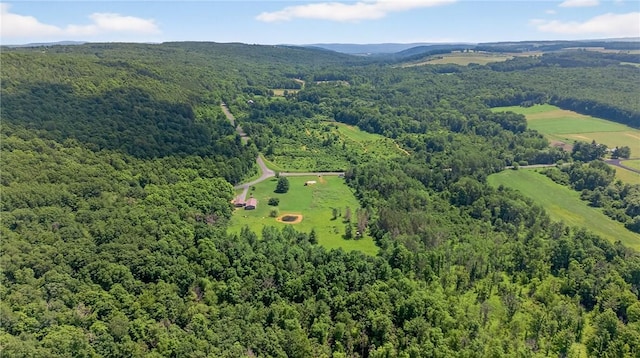 5115 Decamp Rd, Tyrone, NY 14837 - photo 12