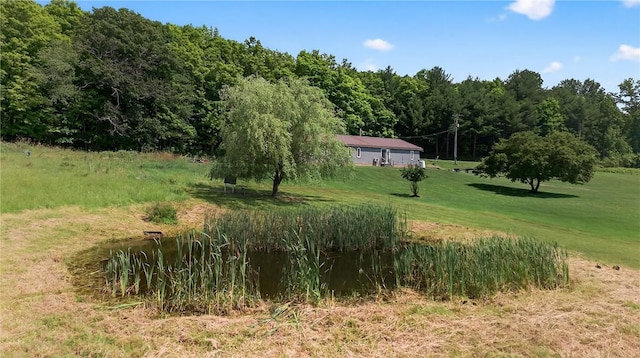 5115 Decamp Rd, Tyrone, NY 14837 - photo 13