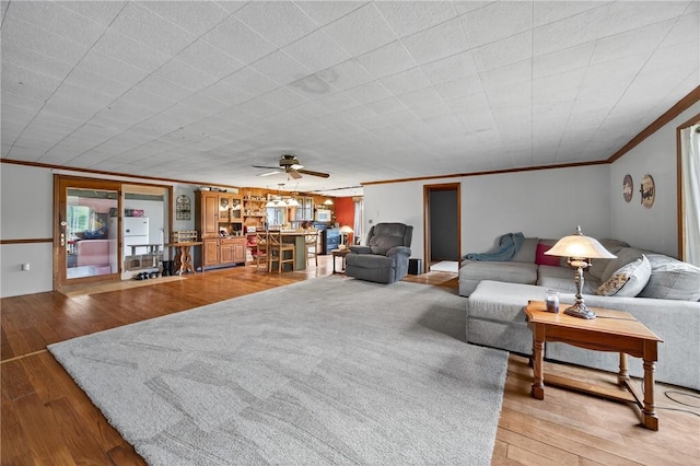 5115 Decamp Rd, Tyrone, NY 14837 - photo 17