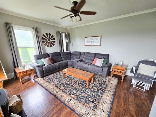 8505 Centerport Rd, Mentz, NY 13140 - photo 11