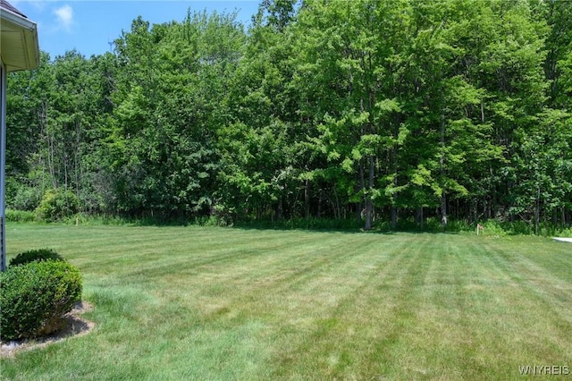 280 Forest Creek Ln, Grand Island, NY 14072 - photo 44