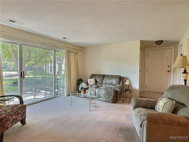 27 Hickory Hill Rd Unit B, Amherst, NY 14221 - living area with carpet flooring and a textured ceiling