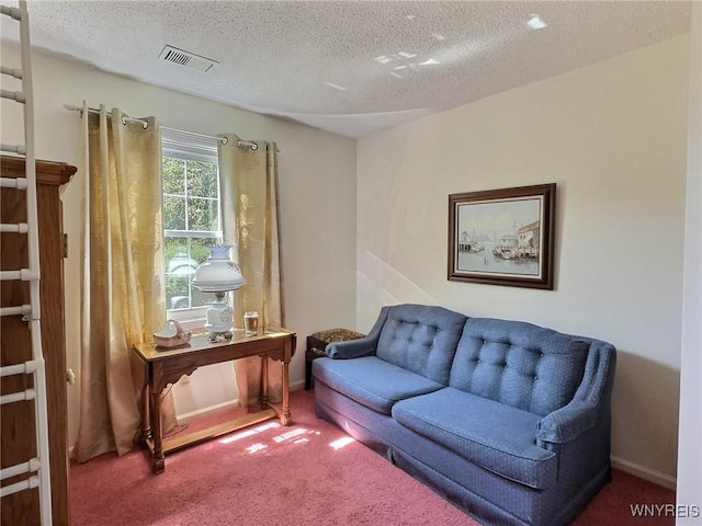 27 Hickory Hill Rd Unit B, Amherst, NY 14221 - sitting room featuring carpet flooring and a textured ceiling