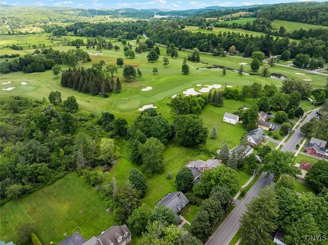 53 Payne St, Hamilton, NY 13346 - aerial view of property and surrounding area with a local golf course
