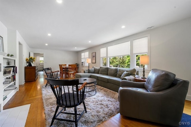 53 Payne St, Hamilton, NY 13346 - living area featuring recessed lighting, light wood-style floors, and built in shelves