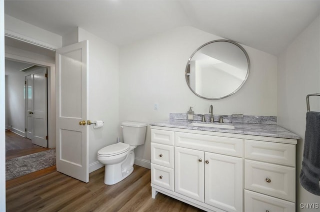 53 Payne St, Hamilton, NY 13346 - bathroom featuring vanity, wood finished floors, and vaulted ceiling