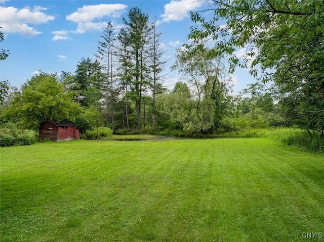 53 Payne St, Hamilton, NY 13346 - view of green lawn featuring an outbuilding