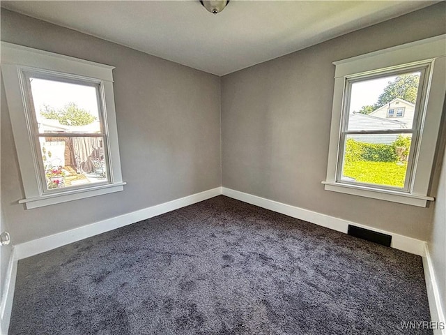 35 Cushing Pl, Buffalo, NY 14220 - photo 14