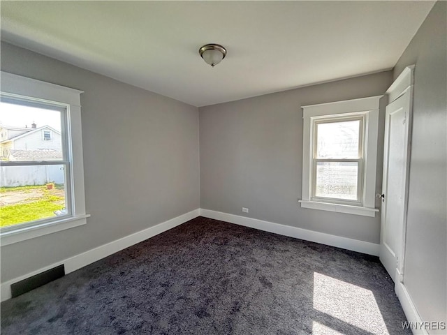 35 Cushing Pl, Buffalo, NY 14220 - photo 16
