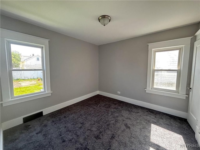 35 Cushing Pl, Buffalo, NY 14220 - photo 17