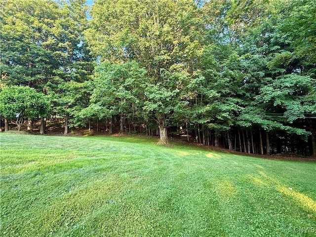 9418 Glenmore Rd Unit Es, Annsville, NY 13471 - view of grassy yard