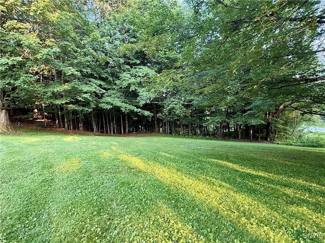 9418 Glenmore Rd Unit Es, Annsville, NY 13471 - view of grassy yard with a forest view