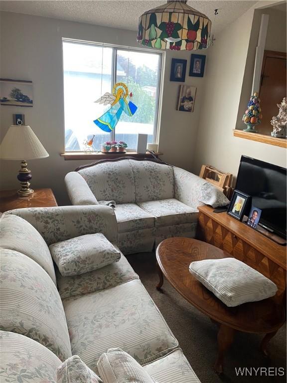 14 Princess Ln, West Seneca, NY 14224 - carpeted living room featuring a textured ceiling