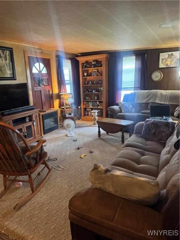 29 Church St, Royalton, NY 14105 - view of carpeted living area