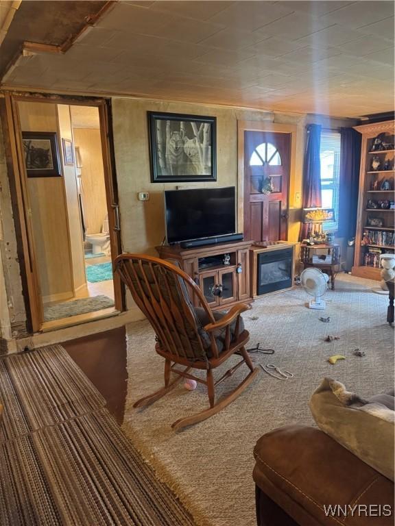 29 Church St, Royalton, NY 14105 - view of carpeted living room