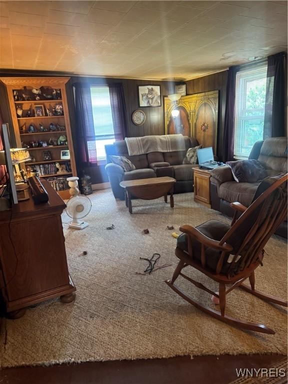 29 Church St, Royalton, NY 14105 - living area with built in shelves, carpet, and wooden walls