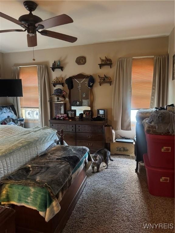 29 Church St, Royalton, NY 14105 - carpeted bedroom with a ceiling fan