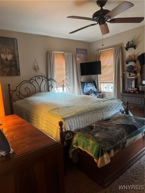 29 Church St, Royalton, NY 14105 - bedroom featuring a ceiling fan