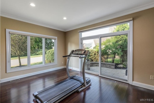 171 Harbridge Mnr, Amherst, NY 14221 - workout room with crown molding, plenty of natural light, dark wood-style floors, and recessed lighting