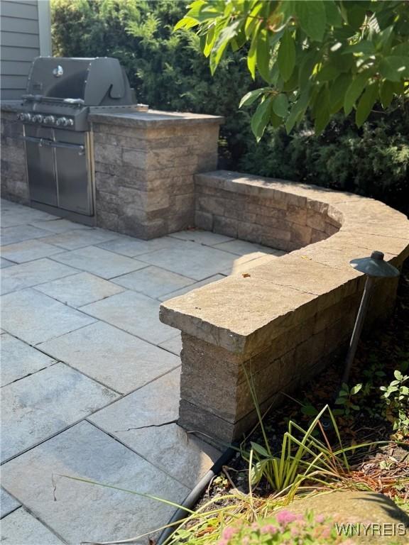 171 Harbridge Mnr, Amherst, NY 14221 - view of patio with area for grilling
