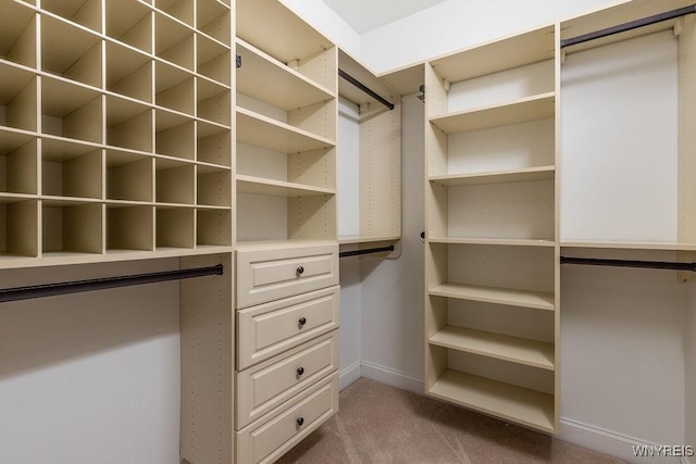 171 Harbridge Mnr, Amherst, NY 14221 - walk in closet featuring light carpet