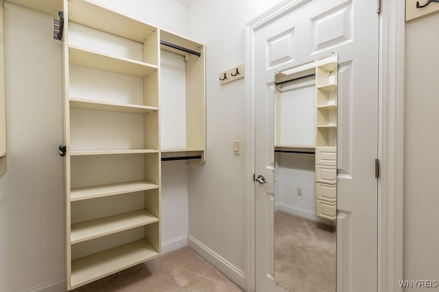 171 Harbridge Mnr, Amherst, NY 14221 - walk in closet featuring light colored carpet