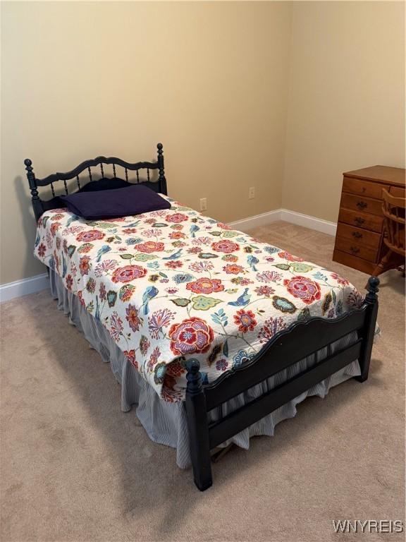 171 Harbridge Mnr, Amherst, NY 14221 - bedroom featuring carpet flooring