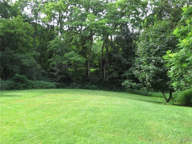164 Kanzog Rd, German Flatts, NY 13407 - view of green lawn with a wooded view
