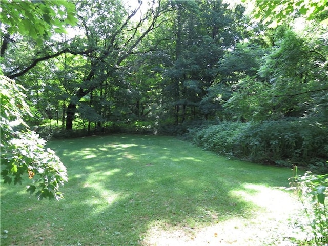 164 Kanzog Rd, German Flatts, NY 13407 - view of grassy yard featuring a view of trees