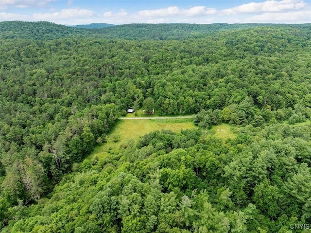 9255 Brown Rd, Brookfield, NY 13485