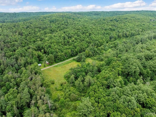 9255 Brown Rd, Brookfield, NY 13485