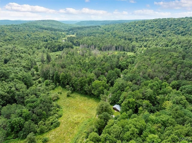 9255 Brown Rd, Brookfield, NY 13485